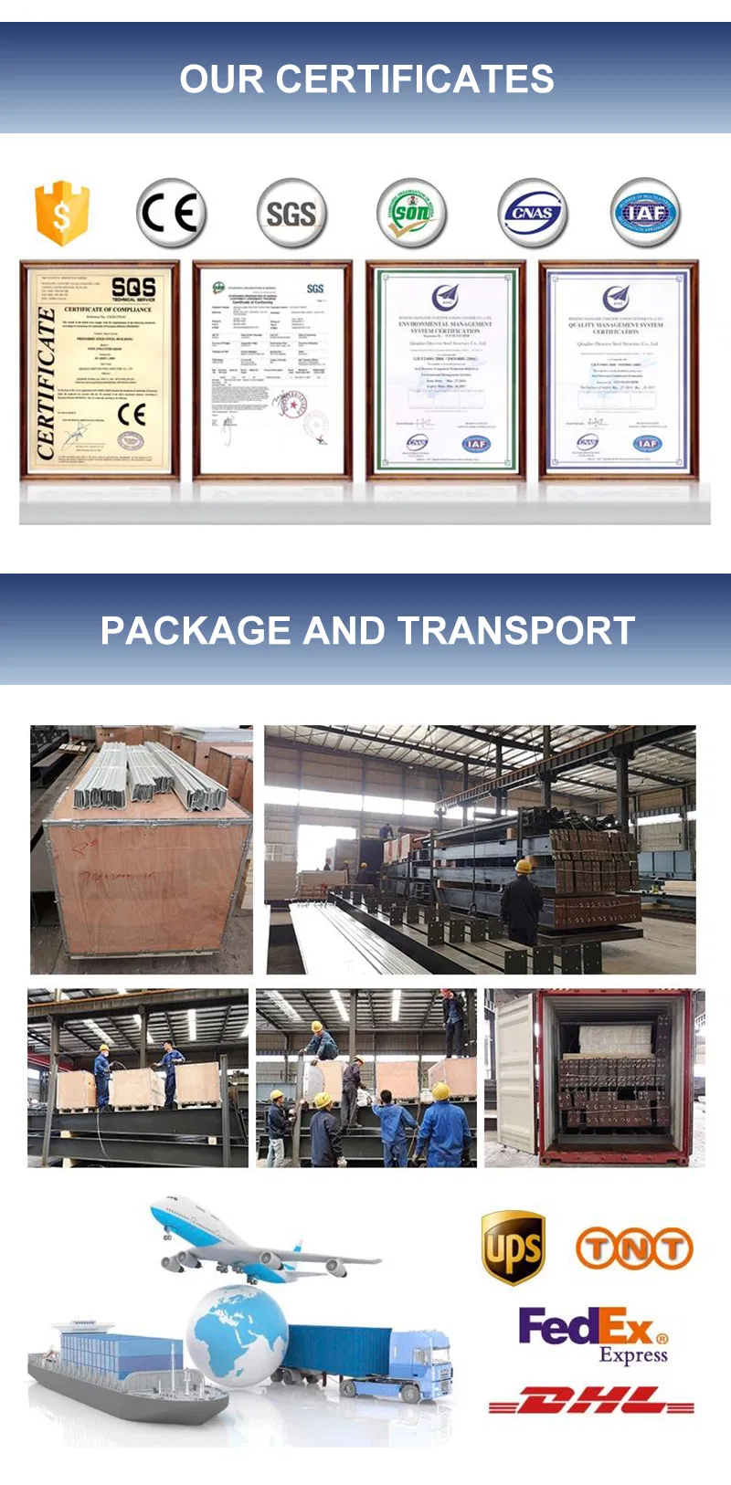 Project Case Display