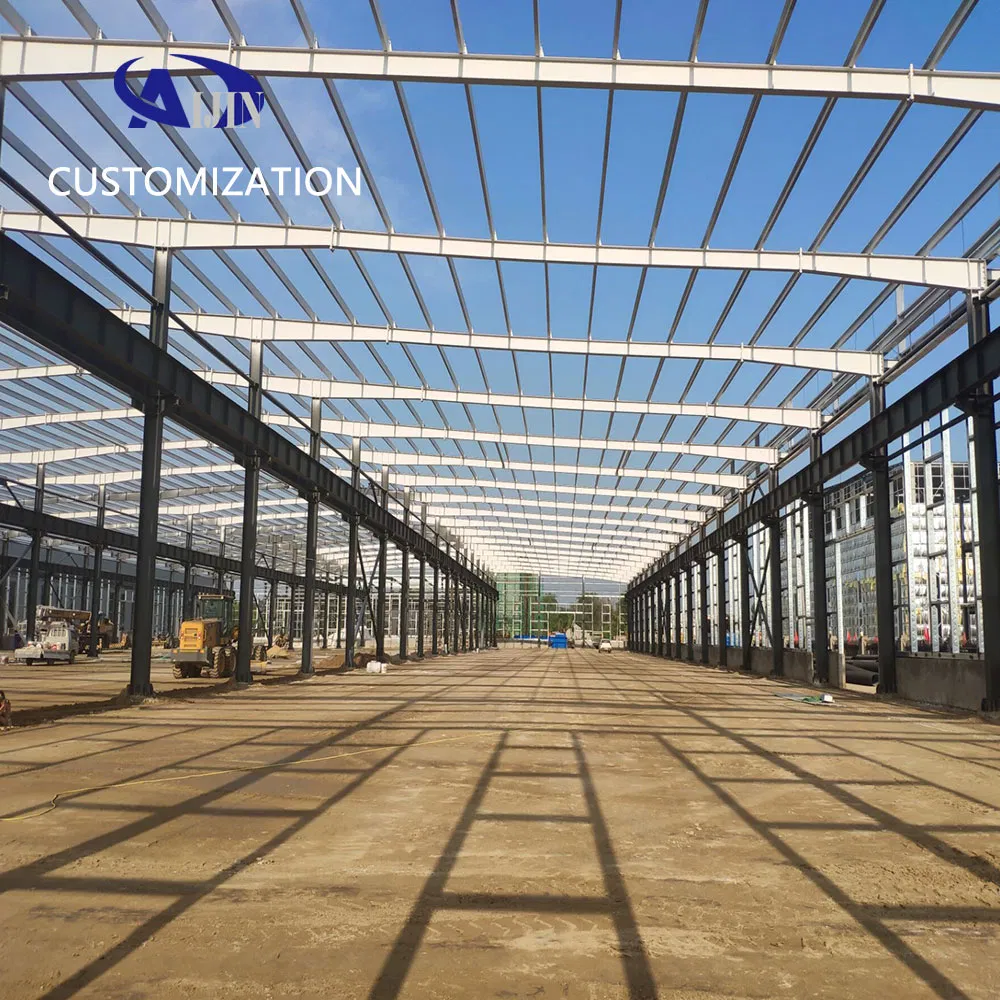 Philippines Supplier Prefab Steel Frame School Building Livestock Shelter House