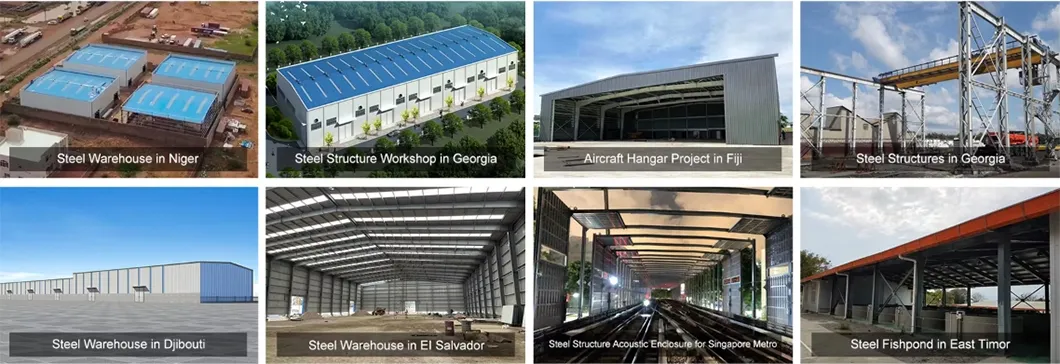 International Project Cases