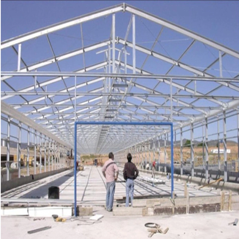 Prefabricated/ Prefab Light Steel Frame Construction Structure Modular Design Frame Chicken Poultry Farm House