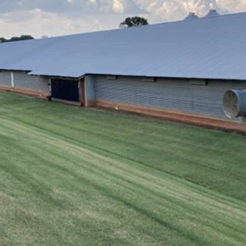 Prefab Steel Flexible and Scalable Structure Bungalow Modular Homes Office Container Prefabricated Building