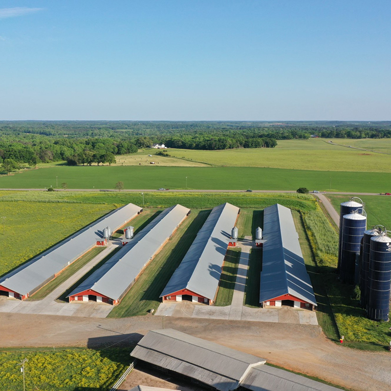 Prefab Steel Flexible and Scalable Structure Bungalow Modular Homes Office Container Prefabricated Building