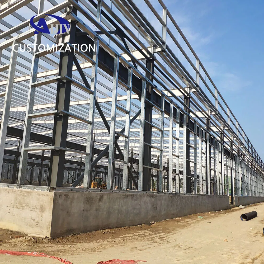 Philippines Supplier Prefab Steel Frame School Building Livestock Shelter House