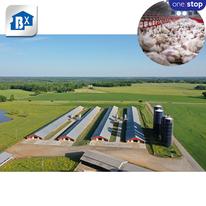 Prefab Steel Flexible and Scalable Structure Bungalow Modular Homes Office Container Prefabricated Building