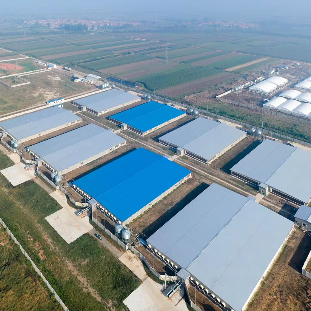 Low Cost Easy Install Prefabricated Prefab Portable Modern Mobile Expandable Luxury Shipping Container Light Steel Structure Chicken Poultry Frame House