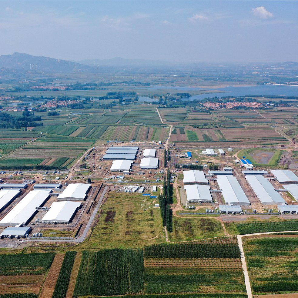 Low Cost Easy Install Prefabricated Prefab Portable Modern Mobile Expandable Luxury Shipping Container Light Steel Structure Chicken Poultry Frame House