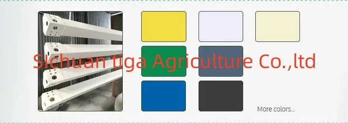 Custom Color Options