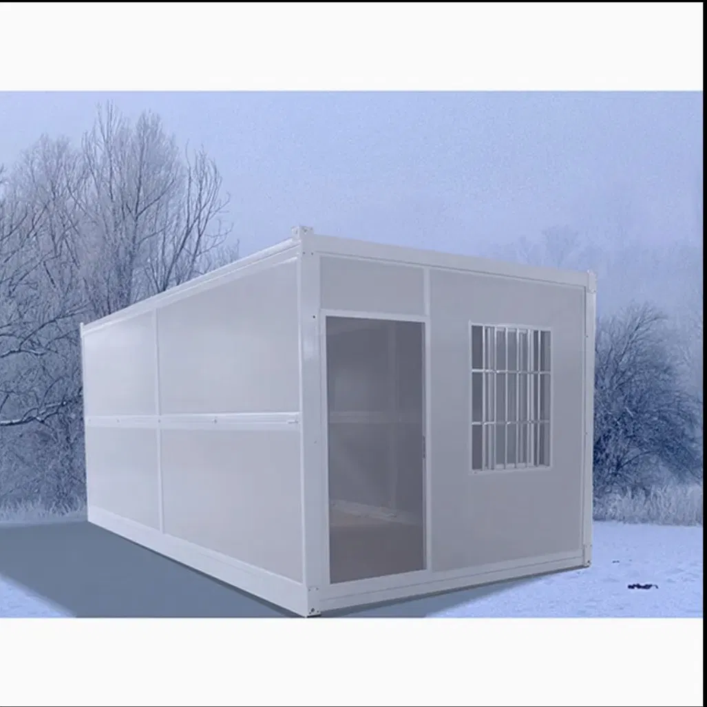 Ready Made Homes Prefabricated Tiny Modular Prefab House Tiny House Container Light Steel Frame 20FT House Luxury Container House
