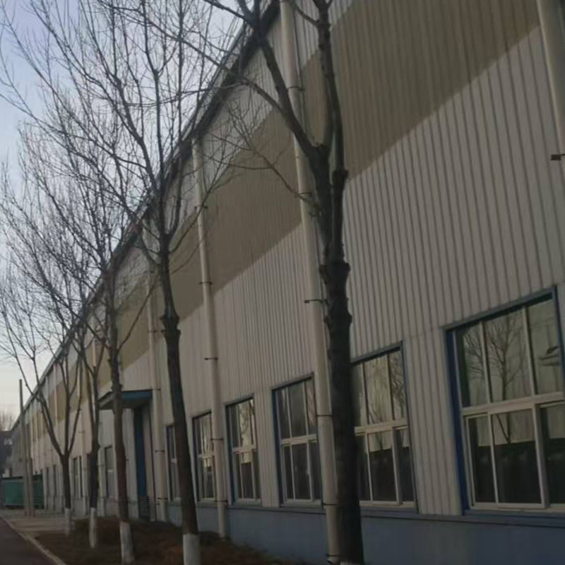 Durable Modern Industrial Prefab House Steel Frame Structure European Office Building Workshop School Real Estate Construction