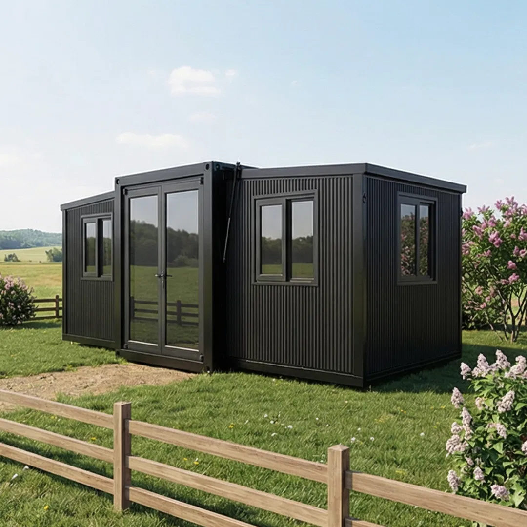 Spacious 40-Foot Expandable Container Home with Modern Bathroom