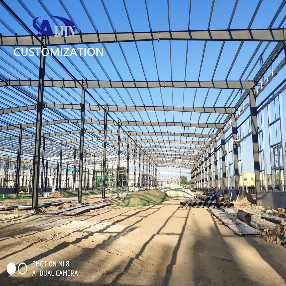 Philippines Supplier Prefab Steel Frame School Building Livestock Shelter House