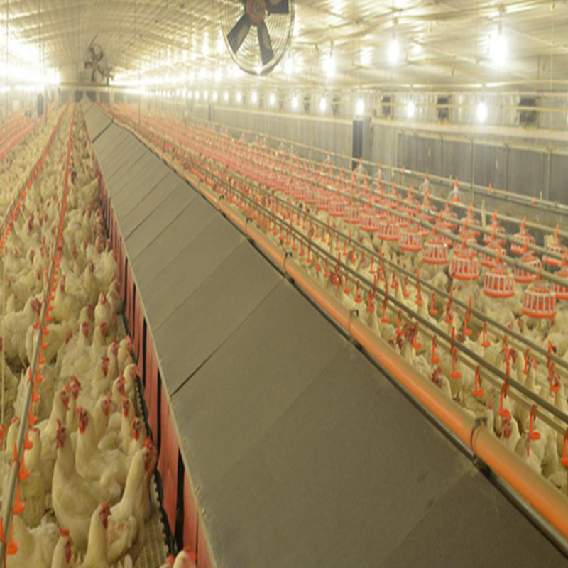 Prefabricated/ Prefab Light Steel Frame Construction Structure Modular Design Frame Chicken Poultry Farm House