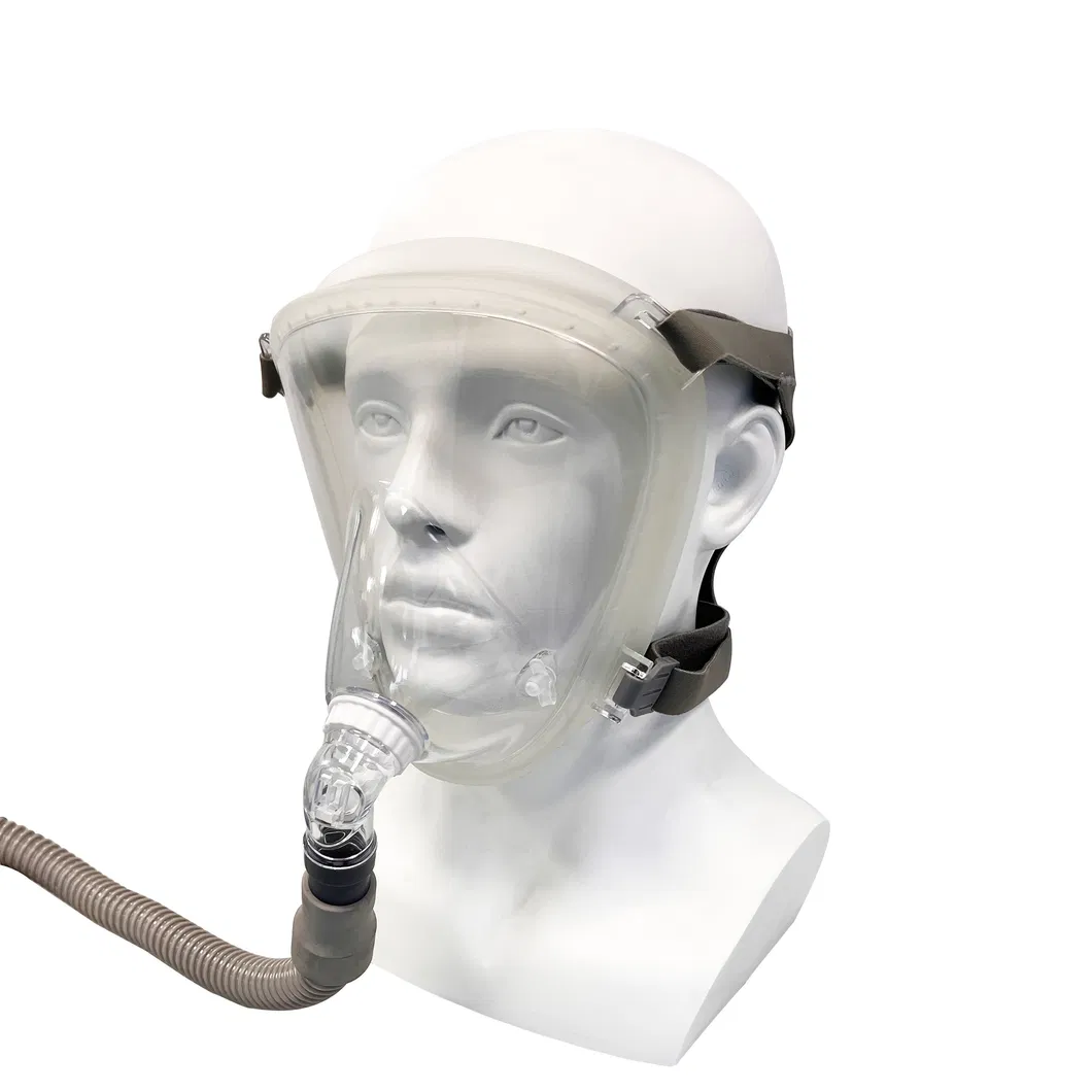 CPAP Mask View 2