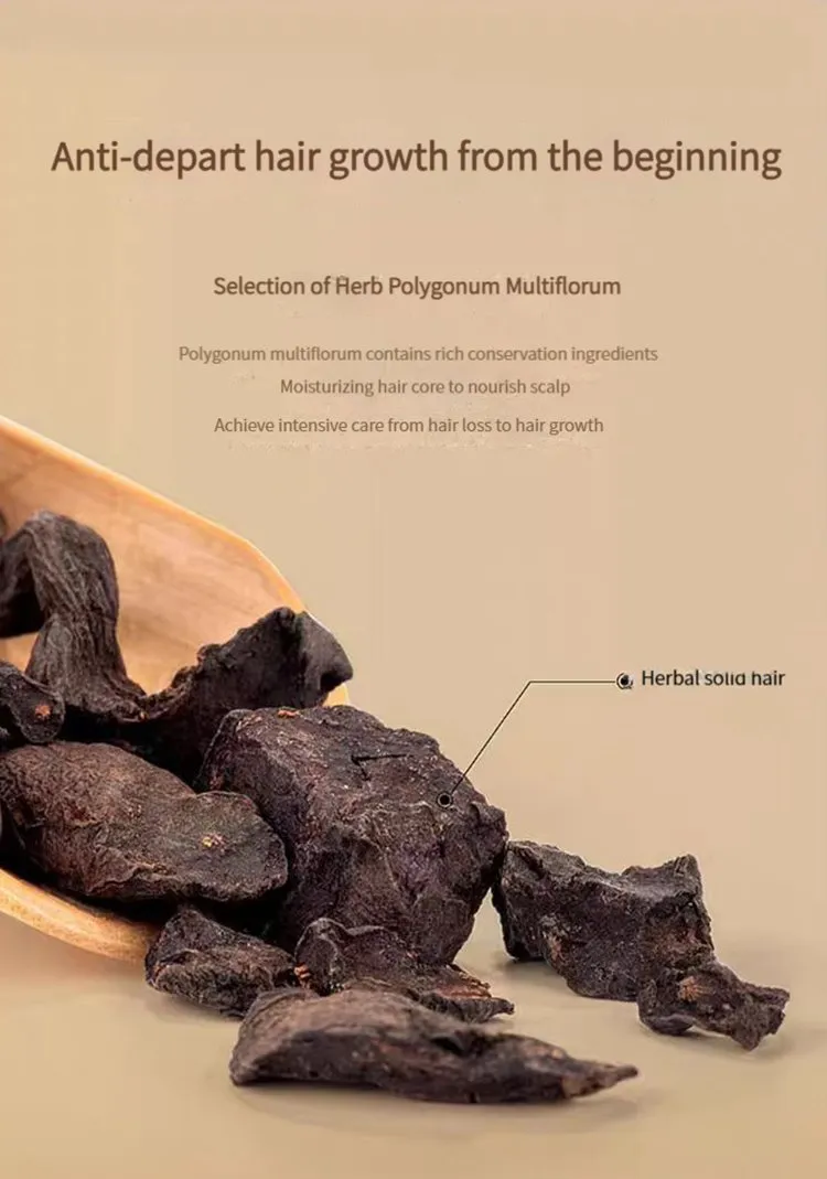 Polygonum Multiflorum Shampoo 2