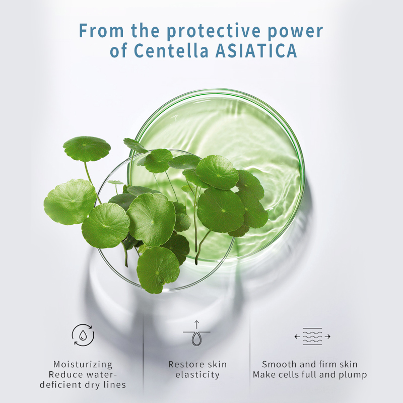 OEM/ODM Gentle Centella Cleansing Milk Repairs Skin Soothing Facial Cleanser