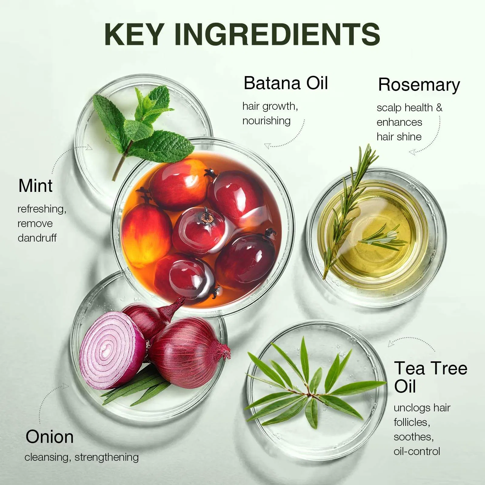 Private Label Natural Hair Care Products Honduras Batana Oil Shampoo Repairing Hydrating Strengthening Hair Growth