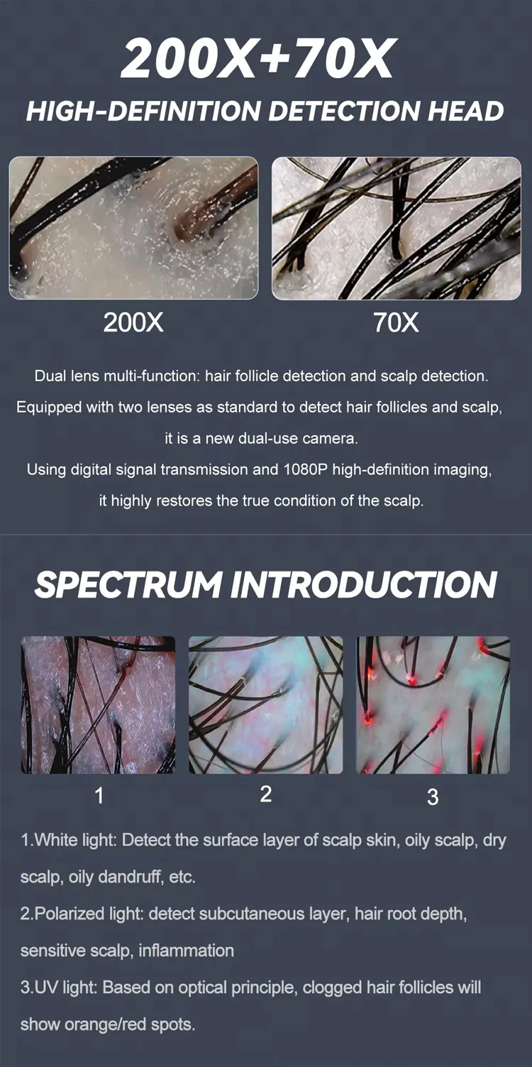 Scalp Analysis Features
