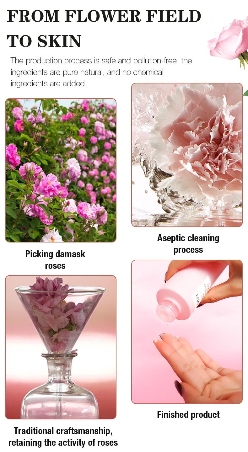 Rose Toner Ingredients