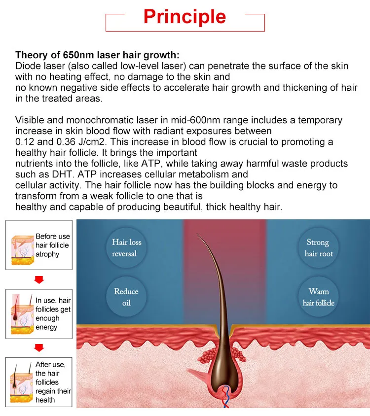 Hair Growth Therapy 2