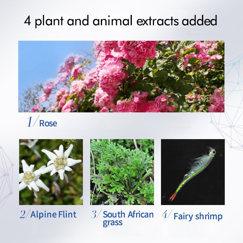 Herbal Flower Moisturizing Eye Treatment Rose Extract for Dark Circles Rose Eye Cream Puffiness Relief and Anti-Aging Benefits Soothing Hydration Eye Care