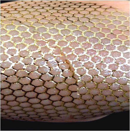 Luxurious Gold Collagen Facial Mask with Deep Hydration and Firming Properties