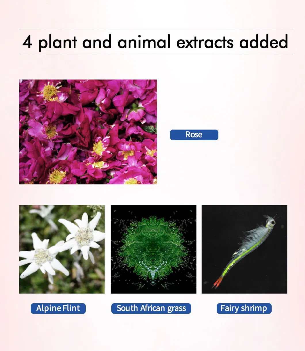 Eye Treatment Photo 5
