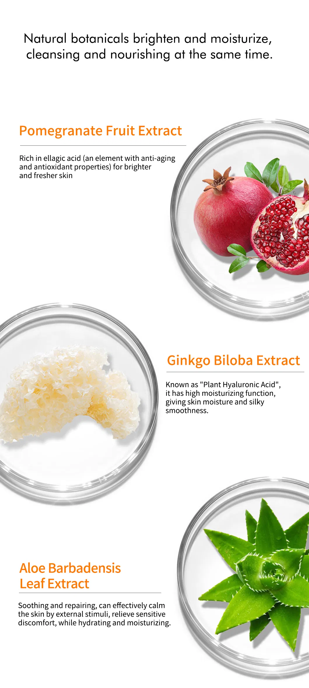 Facial Cleanser Photo 5