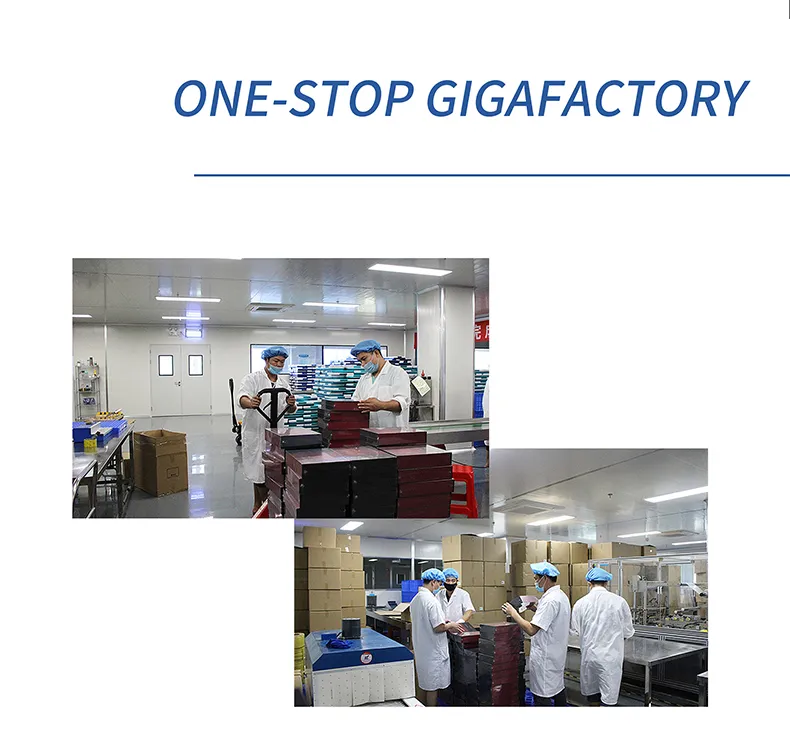 Supply Chain Capability