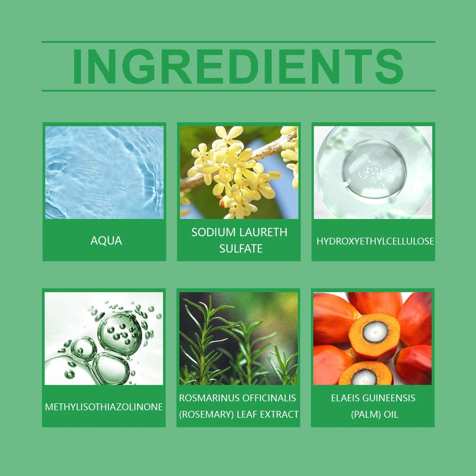 OEM Strengthening Hair Loss Treatment Shampoo with Batana Oil