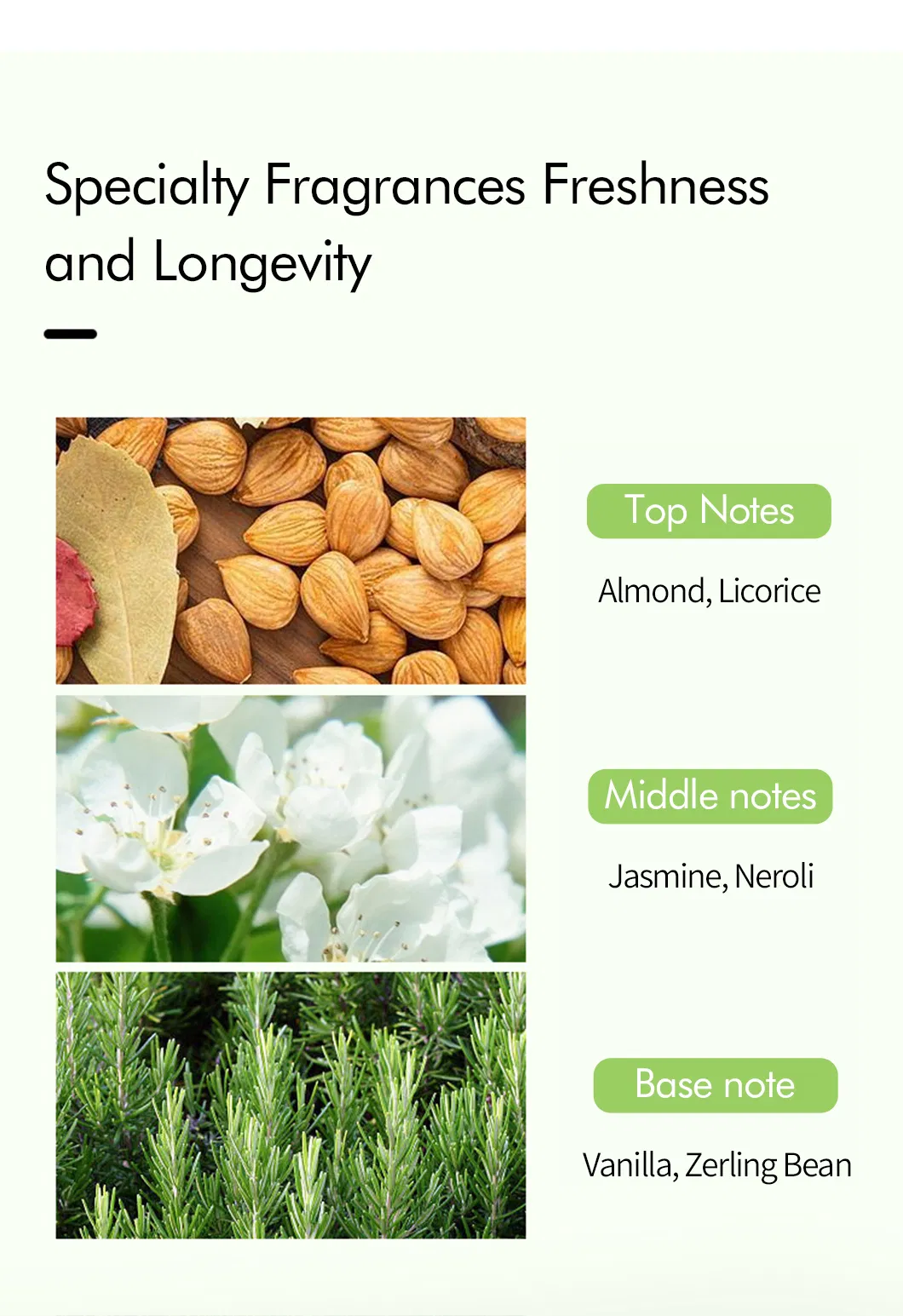 Hair Shampoo Detail 5