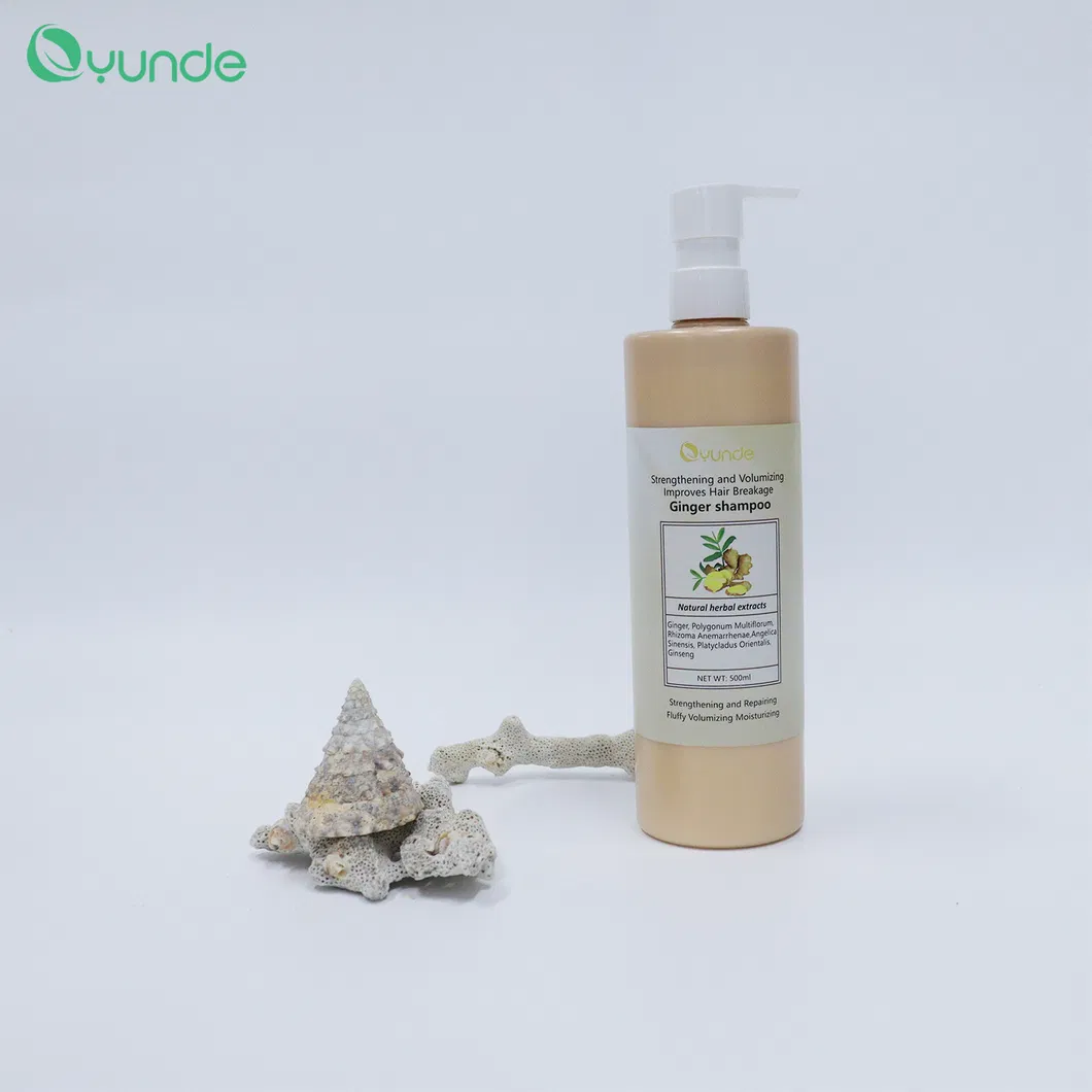 Ginger Shampoo View 3