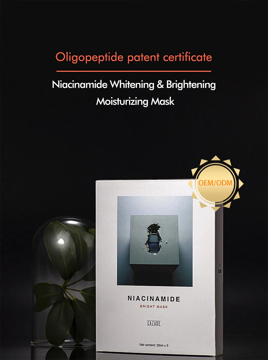 Facial Mask Detail 1