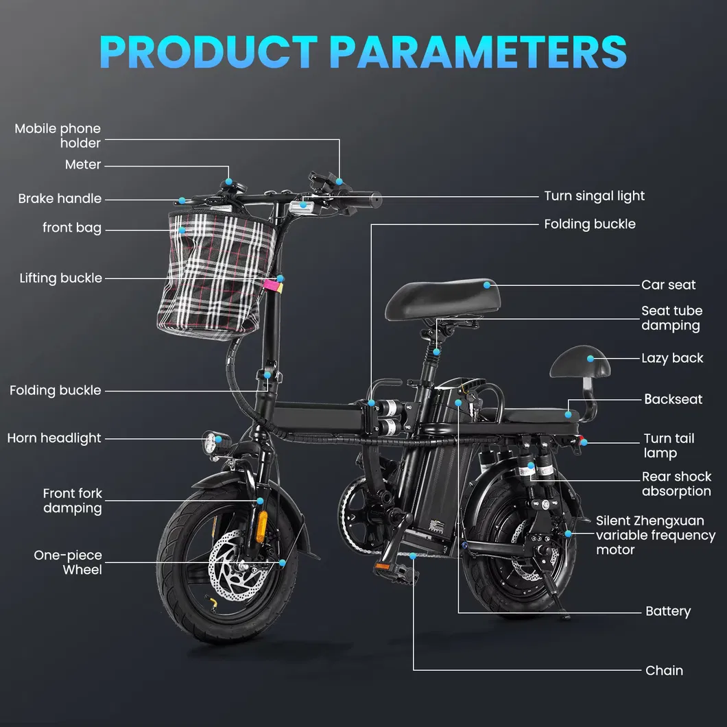 Folding Electric Bike