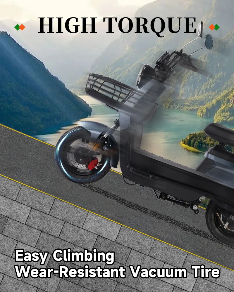 Electric Scooter Details