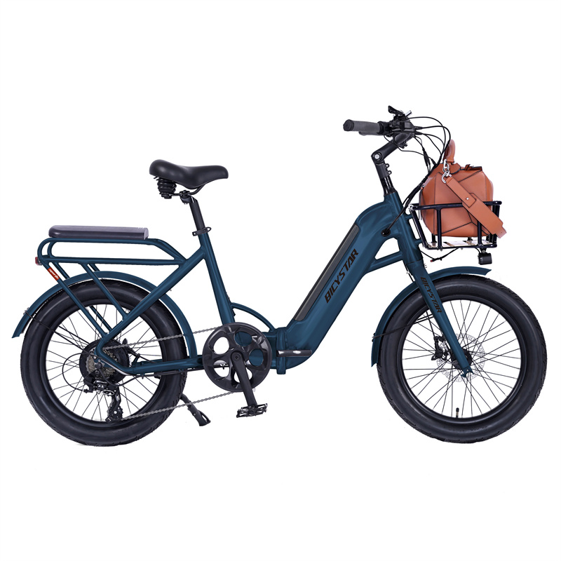 Two Wheel 20 Inch 48V Electric Cargo E Bike Kids Central EU Free Shipping