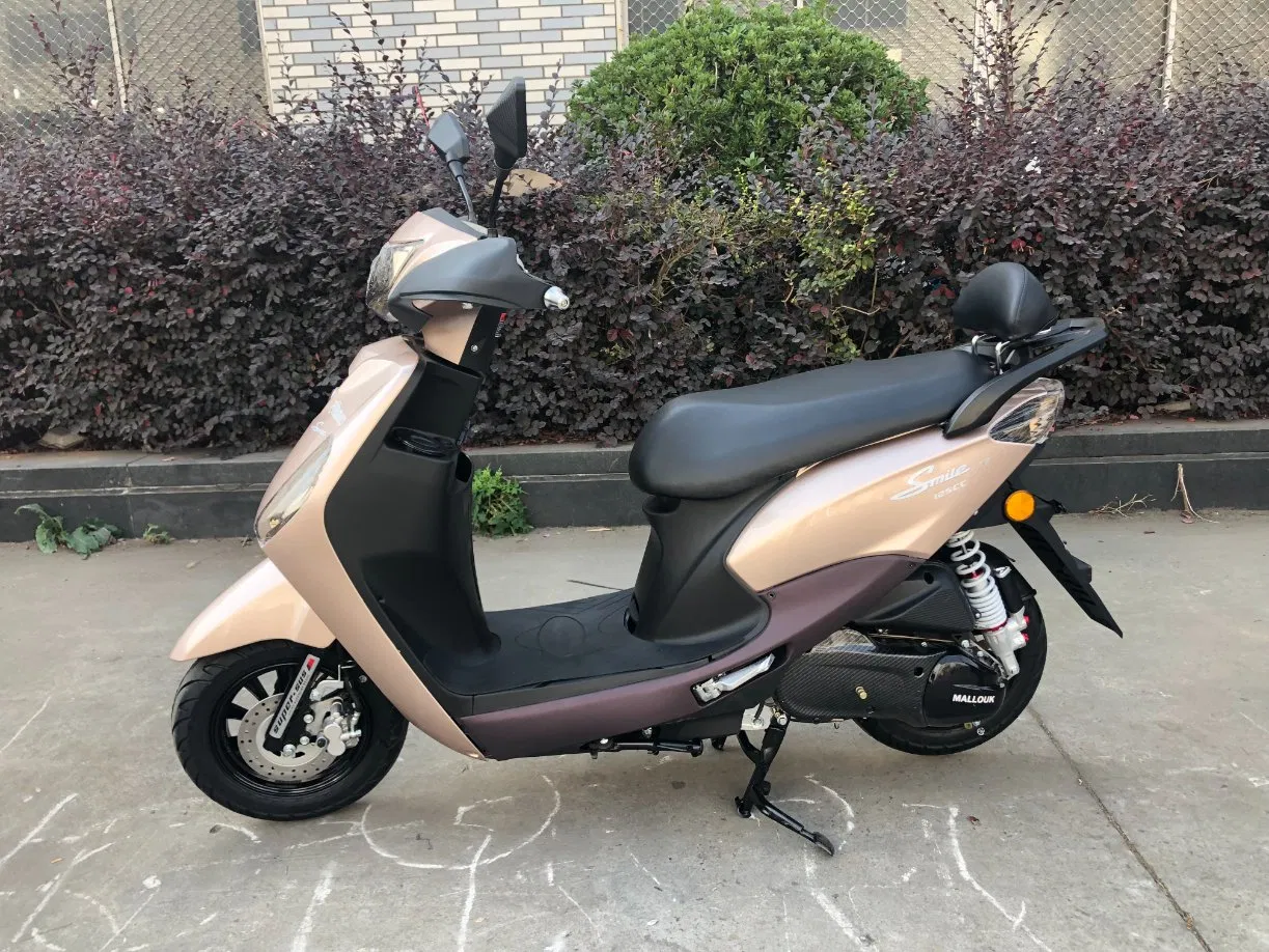 Mini 50cc Long Range Powerful Adults E Scooter Moped Electric Motorcycle