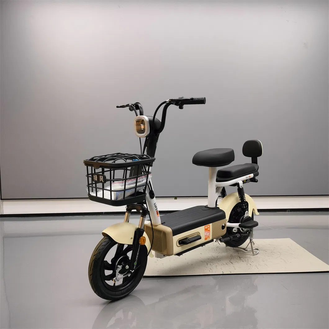 Electric Scooter Front View