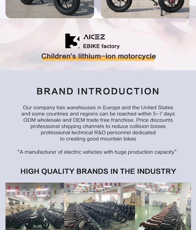 Kids Electric Bike Detail 1