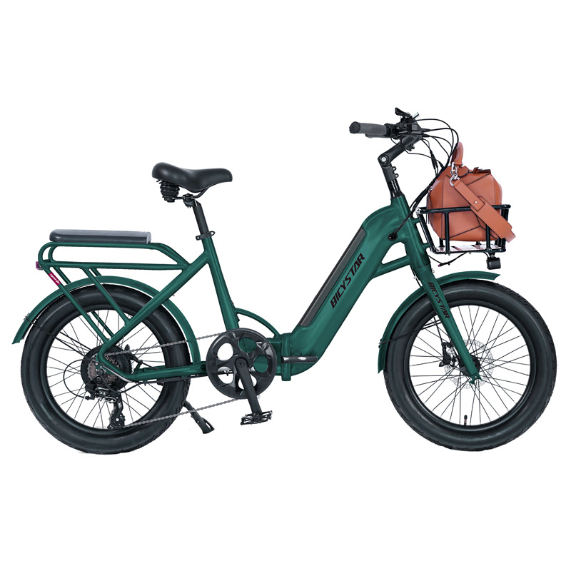 Two Wheel 20 Inch 48V Electric Cargo E Bike Kids Central EU Free Shipping