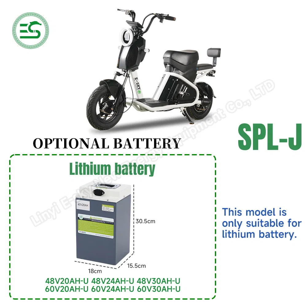 CE Self Electric Portable Battery Adult Kids Bicycle China Factory Spl-J
