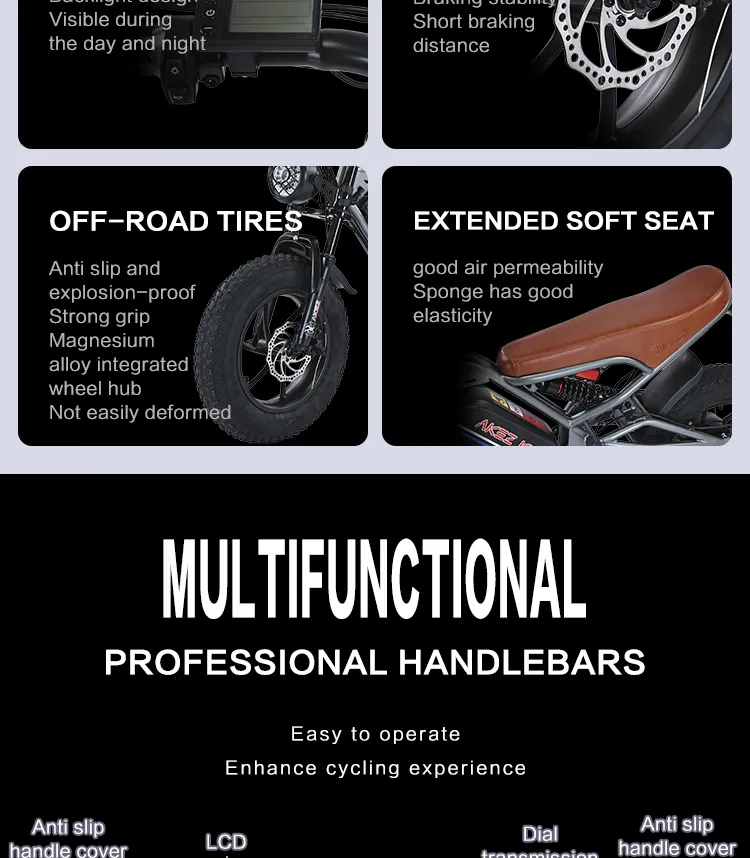 Electric Bike Control