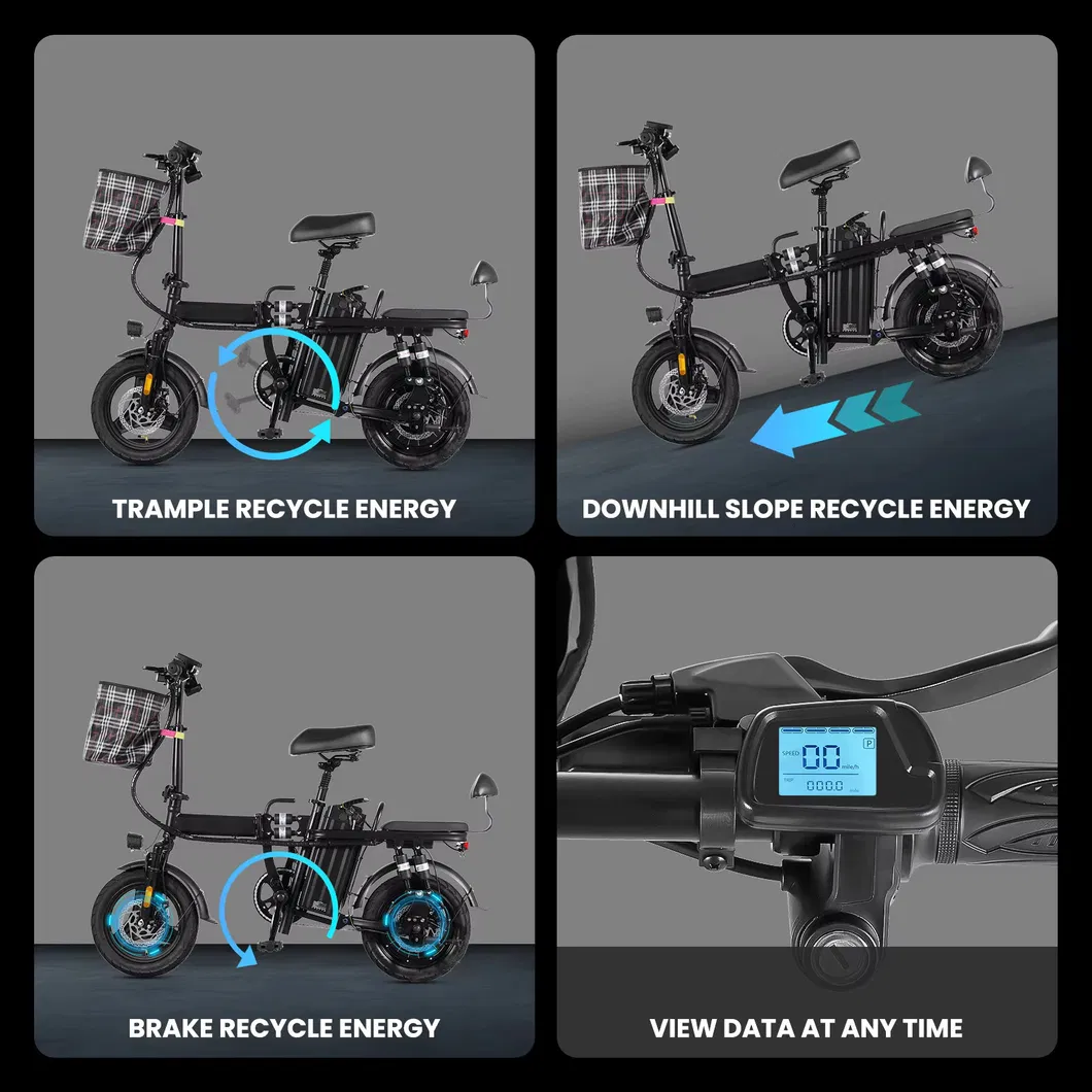 Electric Bike Detail