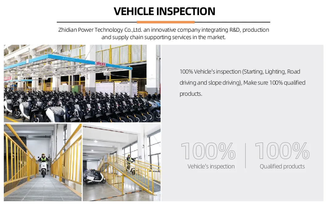 Vehicle Inspection