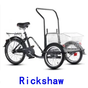 Electric Rickshaw
