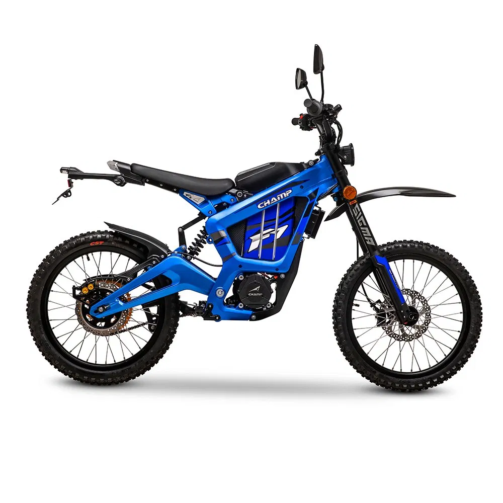 Champ 2024 Hot Selling off Road Motorcycle High Speed 6000W Surr Ron Electric Motor OEM Electric Dirt Bike for Kids