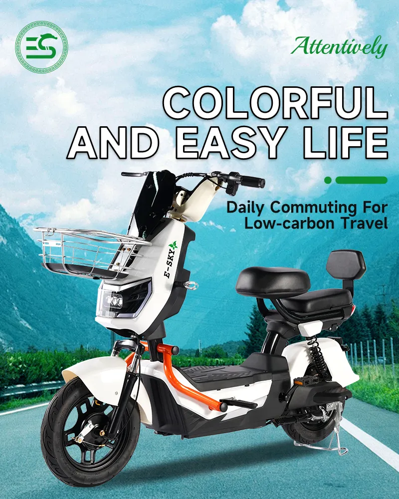 Electric Scooter Front View