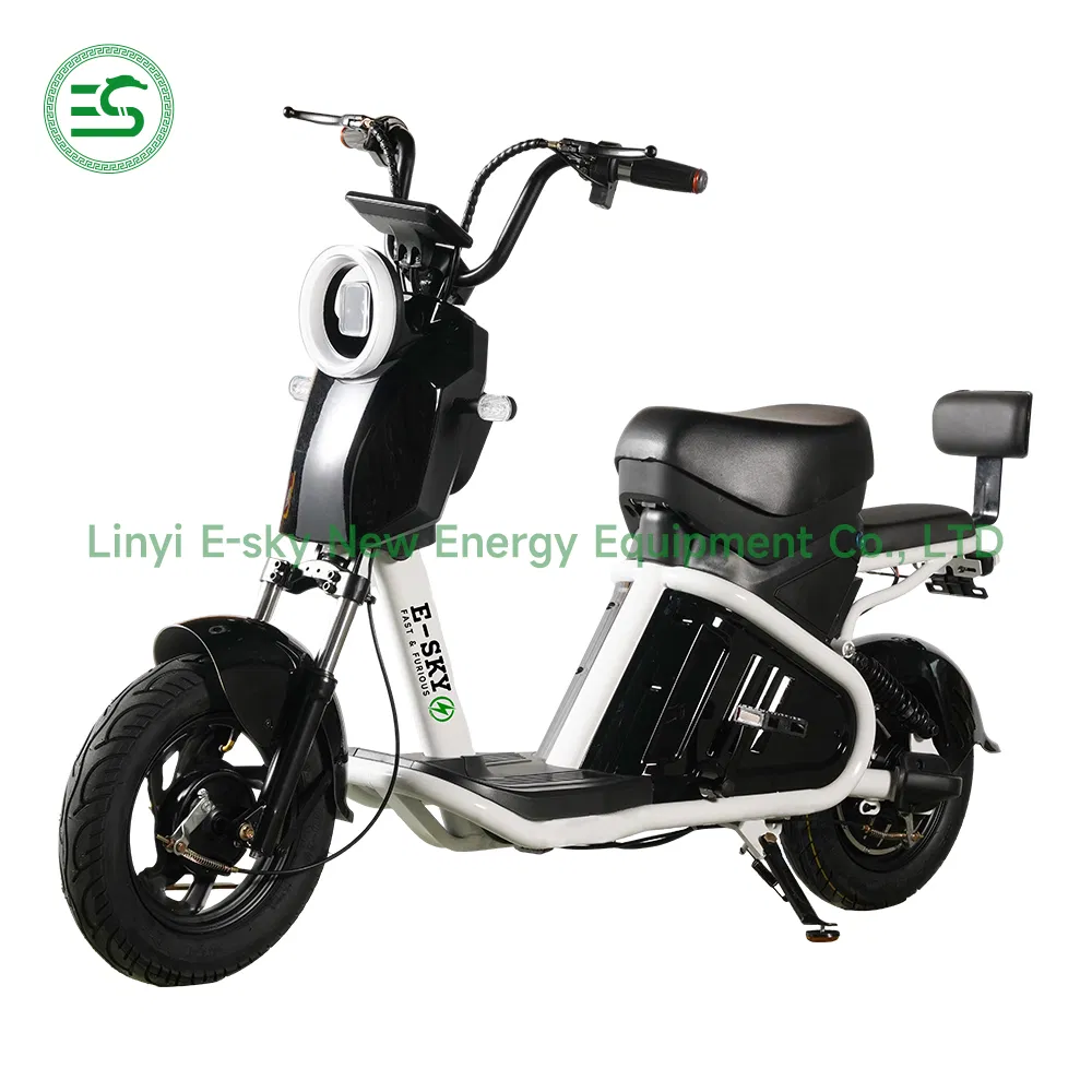 CE Self Electric Portable Battery Adult Kids Bicycle China Factory Spl-J