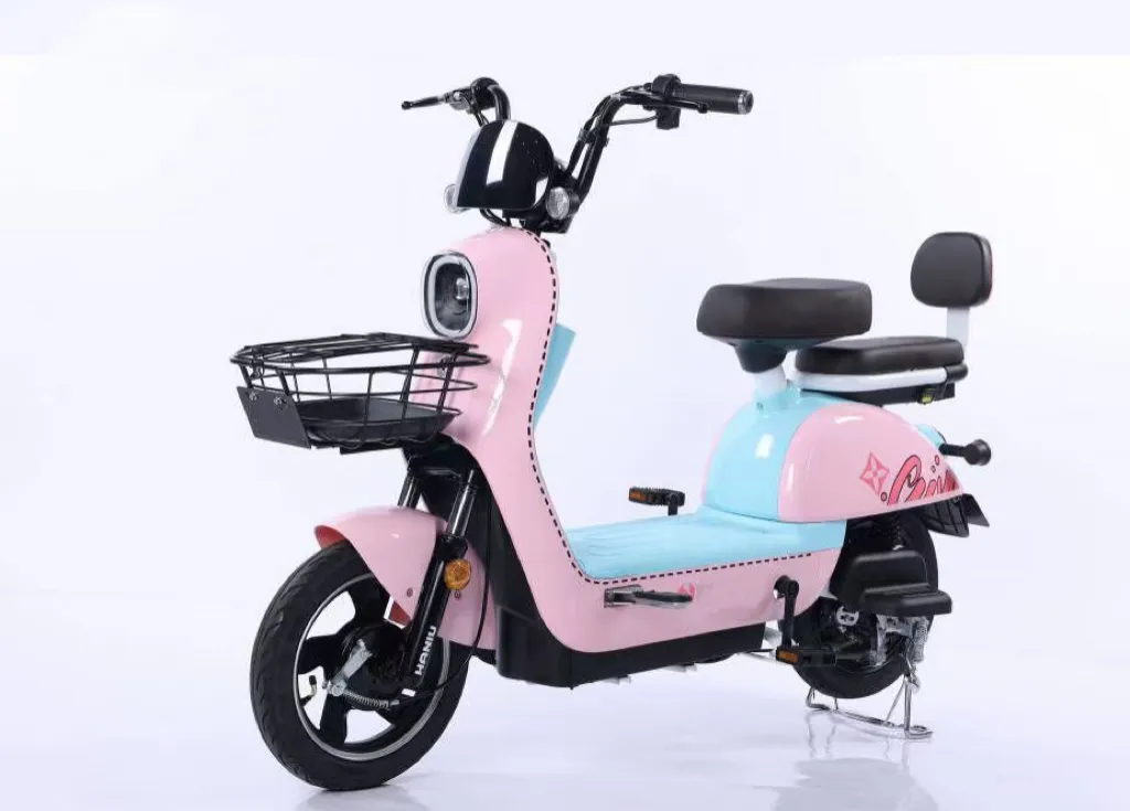 Electric Bike View 1