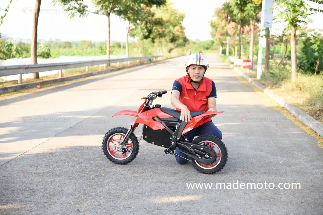 Electric Dirt Bike 12