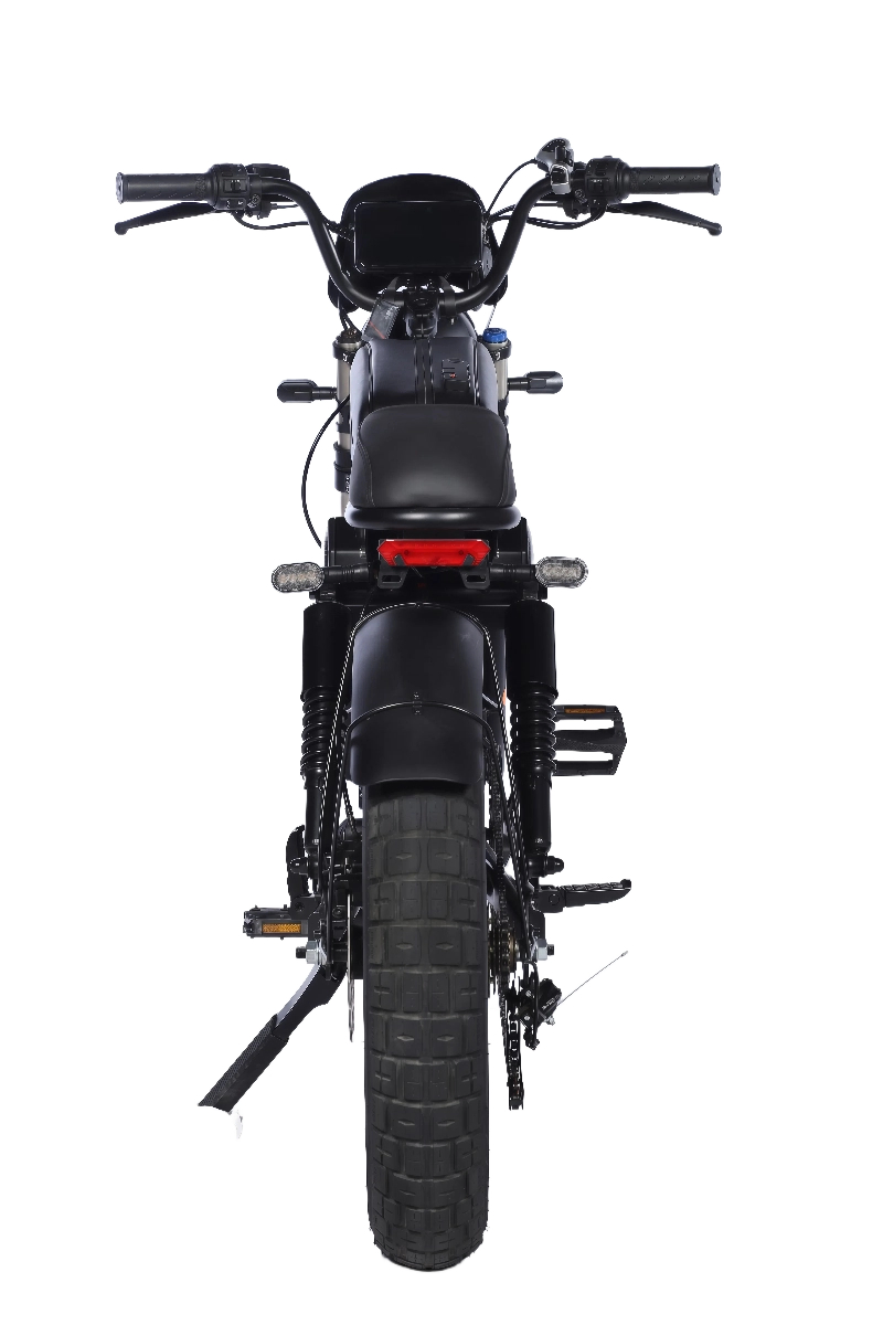 Electric Motorcycle with Mini Size 60V Power Brushless Hub Motor